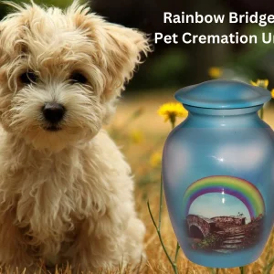 Pet Cremation Urns